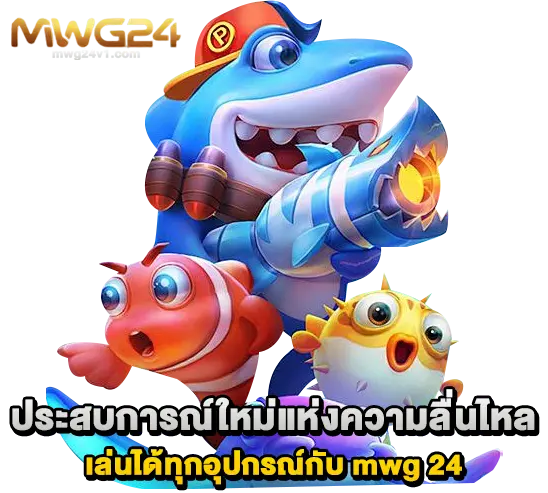 mwg 24