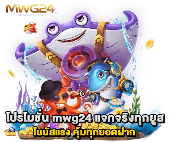 โปรโมชั่น mwg24